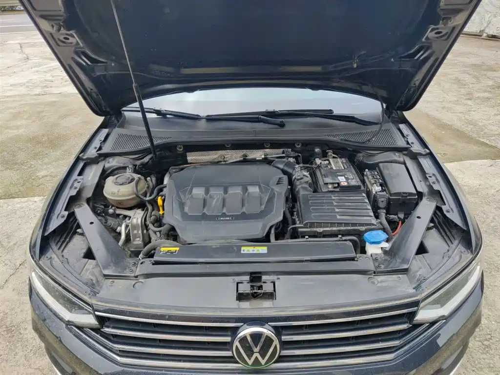 Volkswagen Magotan 2021 330TSI DSG 30th Anniversary Edition фото 11