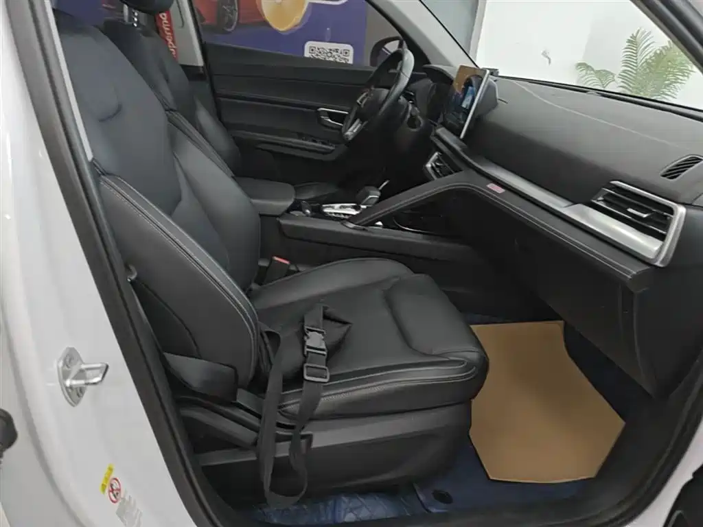 BYD Song Pro 2019 1.5T Automatic Premium фото 25