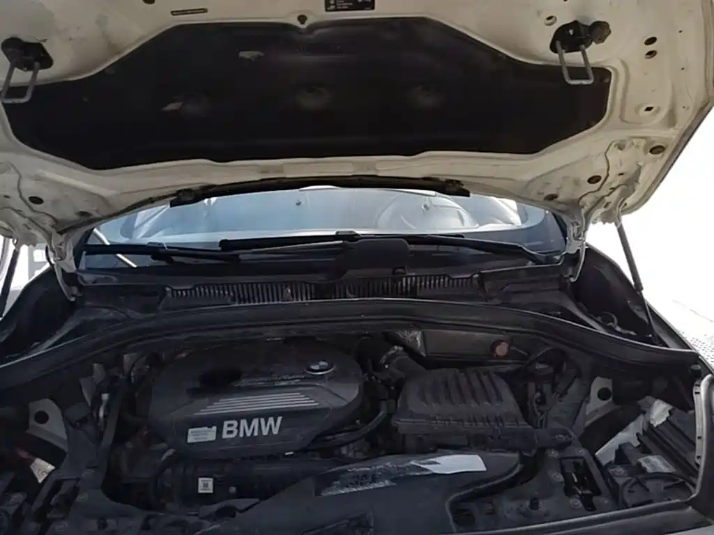 BMW 2 Series Tourer (Import) 2015 218i Leading Type фото 20