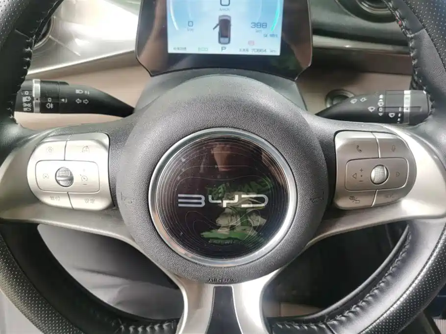 BYD Dolphin 2021 Model 405km Fashion Edition фото 15