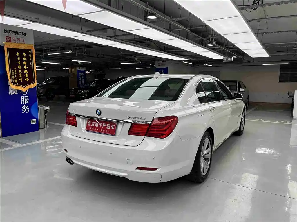 BMW 7 Series 2009 730Li Leading фото 14