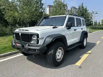 Tank 300
