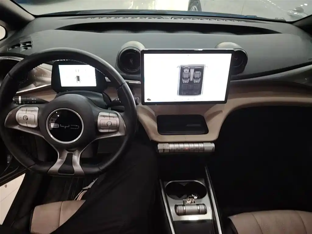 BYD Dolphin 2023 420km Fashion Edition фото 10
