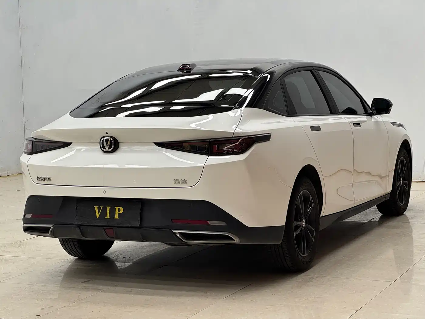 Changan Yida 2024 2023 Blue Whale NE 1.5T GDI DCT Exclusive