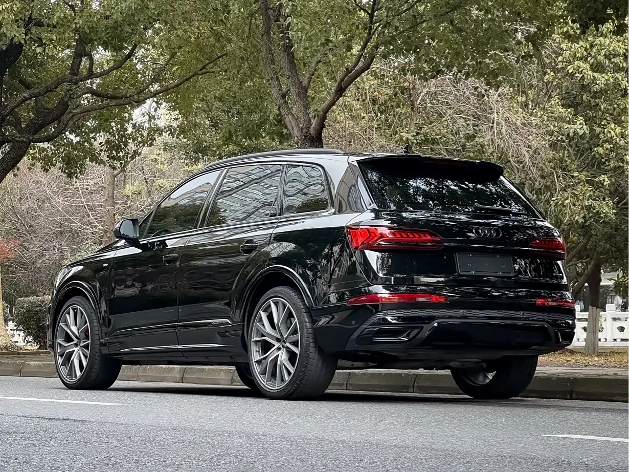 Audi Q7 2023 55 TFSI quattro S line Ice & Snow Sport Edition фото 6