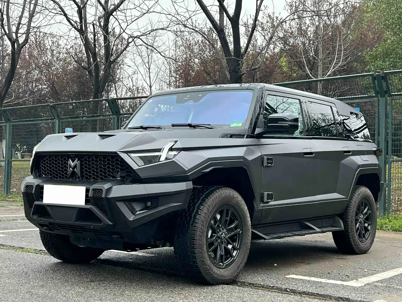 Mengshi 917 2023 Extended Range Base Version