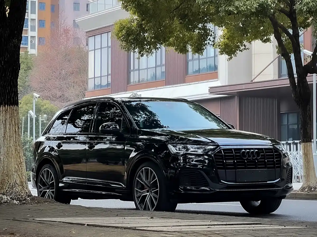 Audi Q7 2023 55 TFSI quattro S line Ice & Snow Sport Edition фото 3