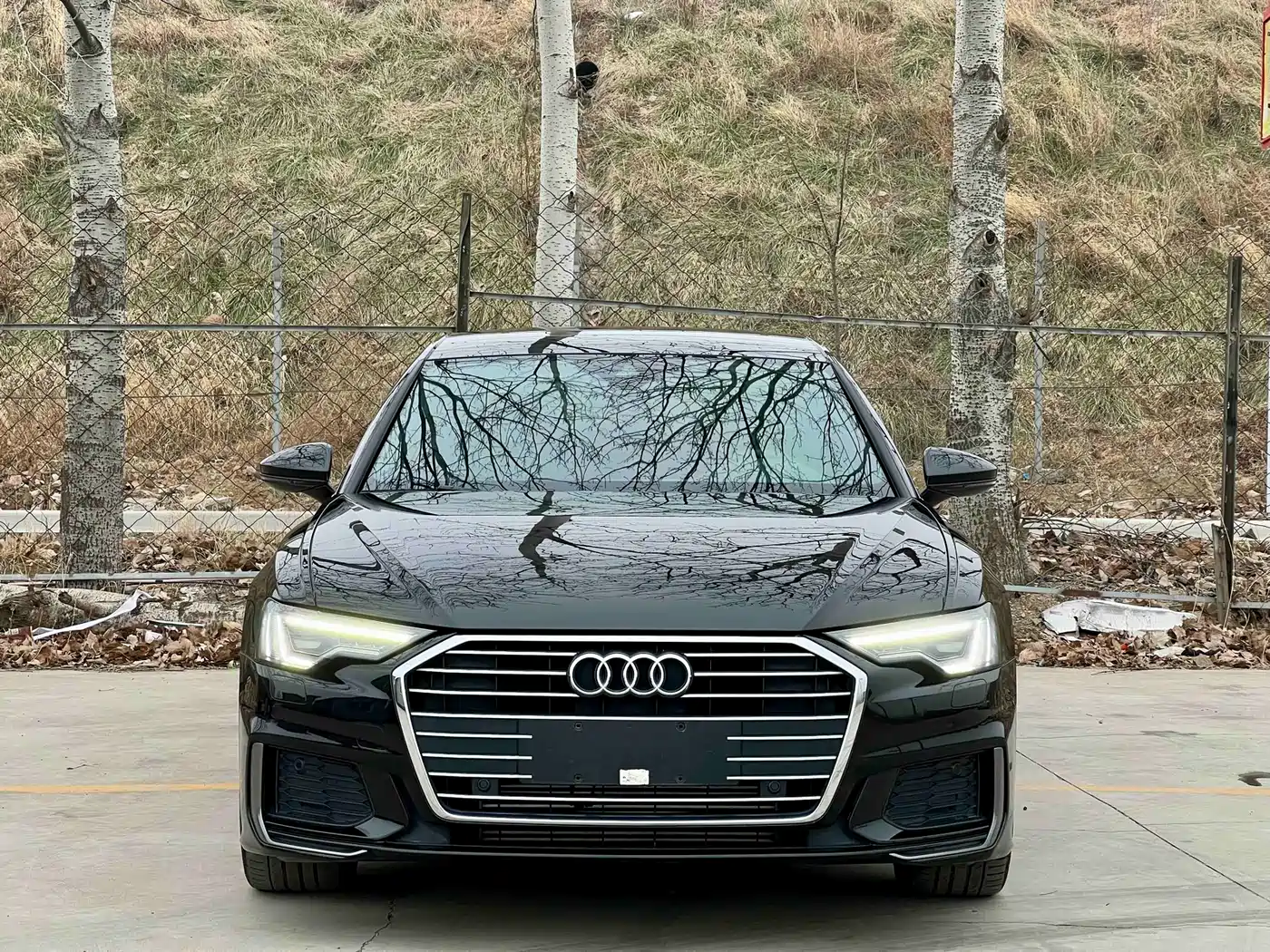 Audi A6L 2019 45 TFSI Premium Dynamic фото 2