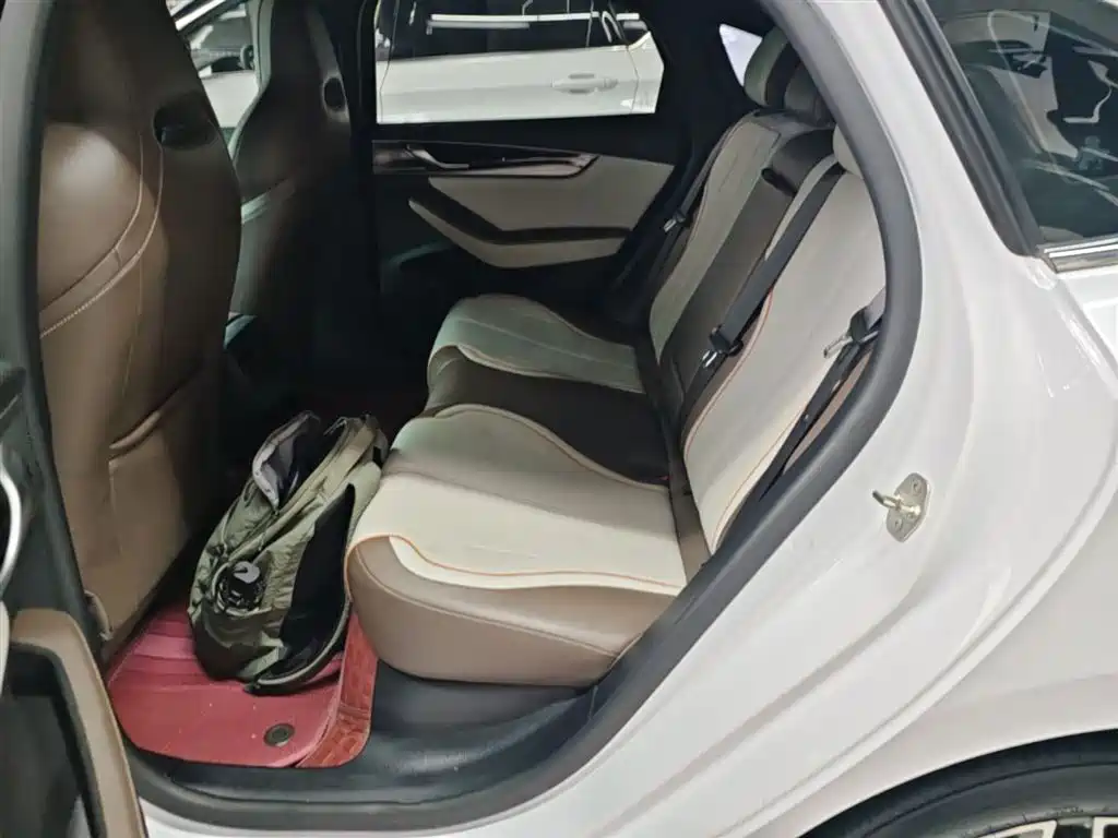 BYD Qin PLUS 2024 Glory Edition DM-i 120KM Surpass фото 17
