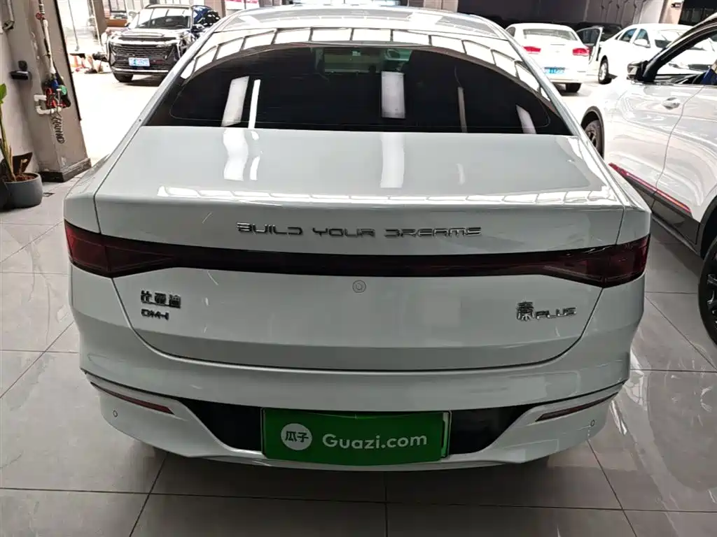 BYD Qin PLUS 2024 Glory Edition DM-i 120KM Surpass фото 6