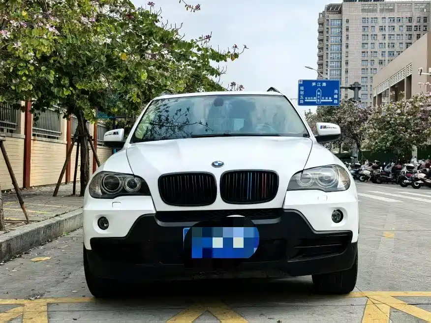 BMW X5 (Import) 2009 xDrive30i Luxury фото 2