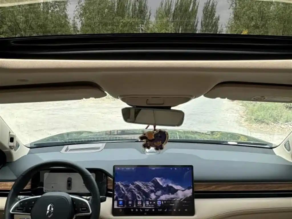 AITO Wenjie AITO M7 2022 1.5T RWD Comfort Edition фото 10