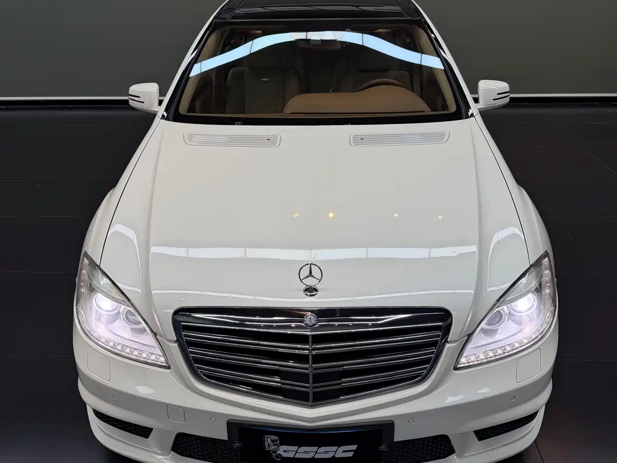 Mercedes-Benz S-Class AMG 2010 AMG S 65 фото 3