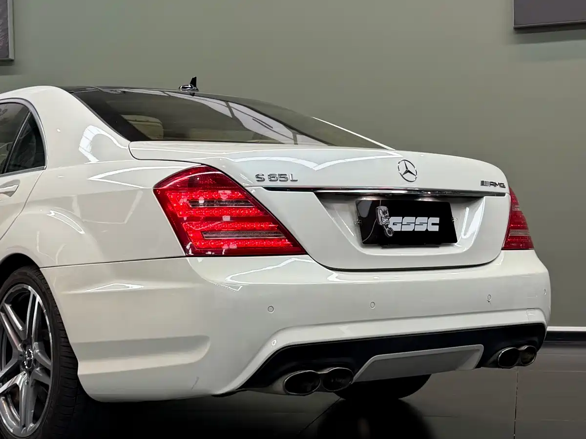 Mercedes-Benz S-Class AMG 2010 AMG S 65 фото 4