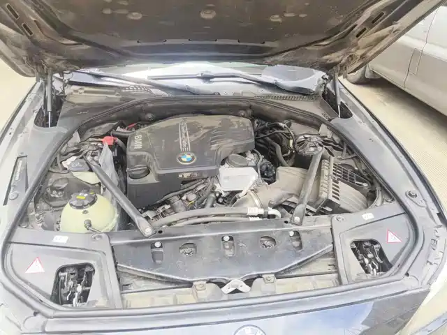 BMW 5 Series 2014 525Li Luxury Design Package — фото 3