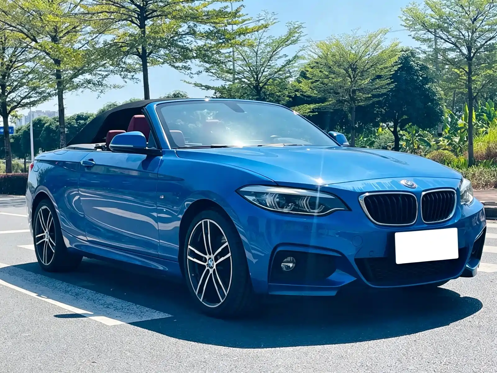صورة 11 - BMW 2 Series (Import)