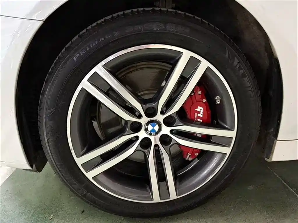 BMW 5 Series 2021 530Li xDrive Luxury Package фото 6