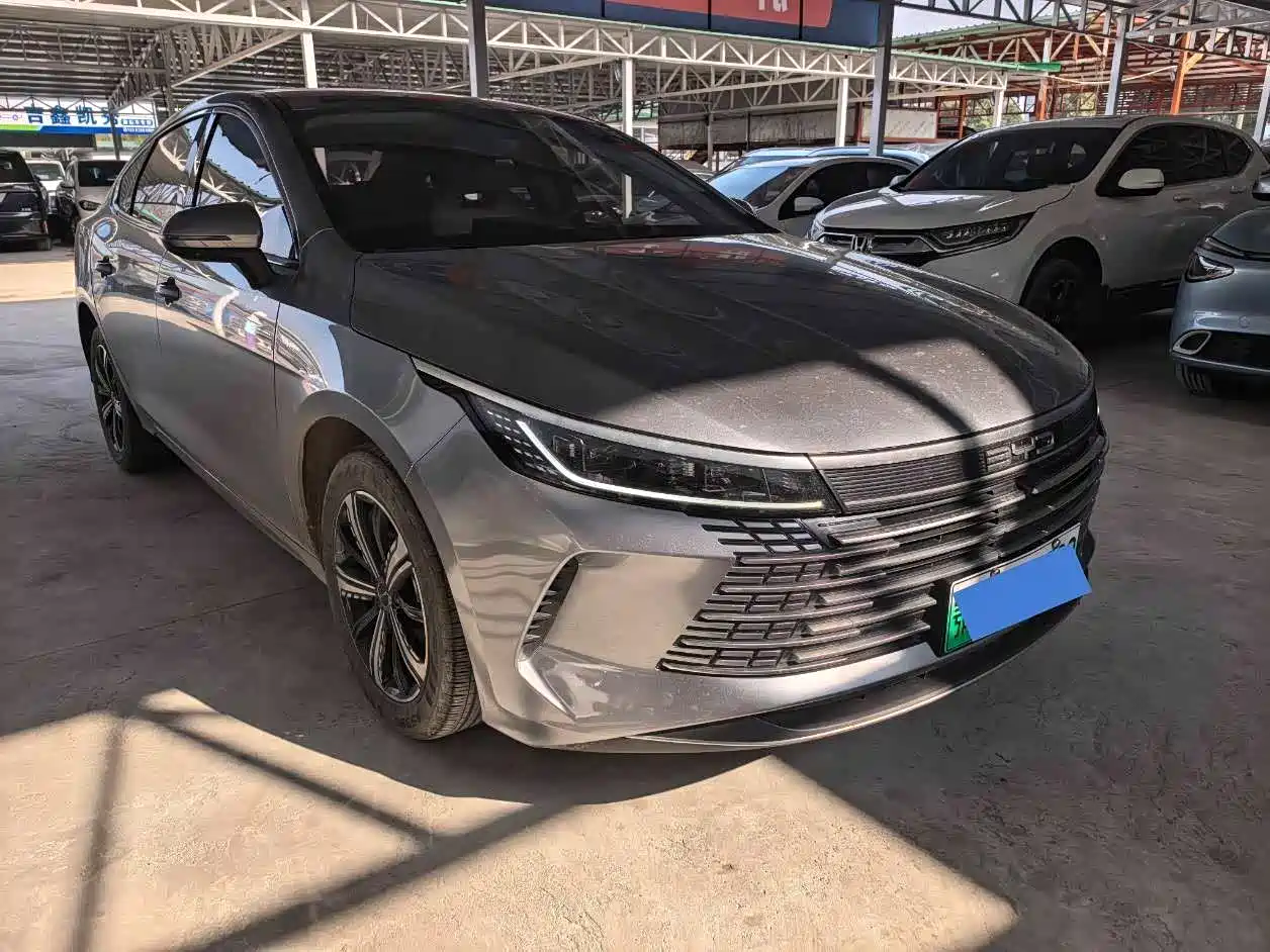 BYD Destroyer 05 2023 Champion Edition DM-i 120KM Premium фото 2