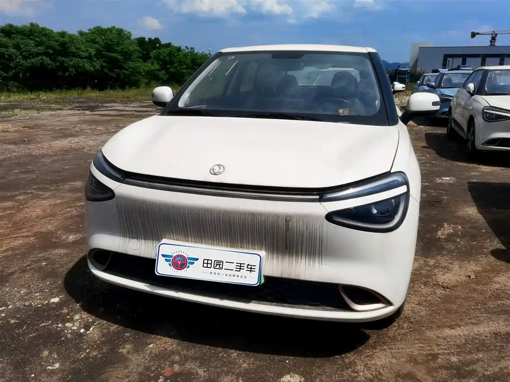 Dongfeng Yipai Nano 01 2024 2024 330 Air