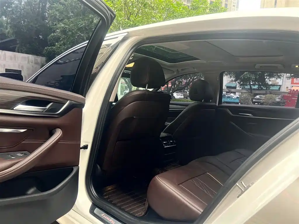BMW 5 Series 2020 530Li Leading Luxury Package фото 8