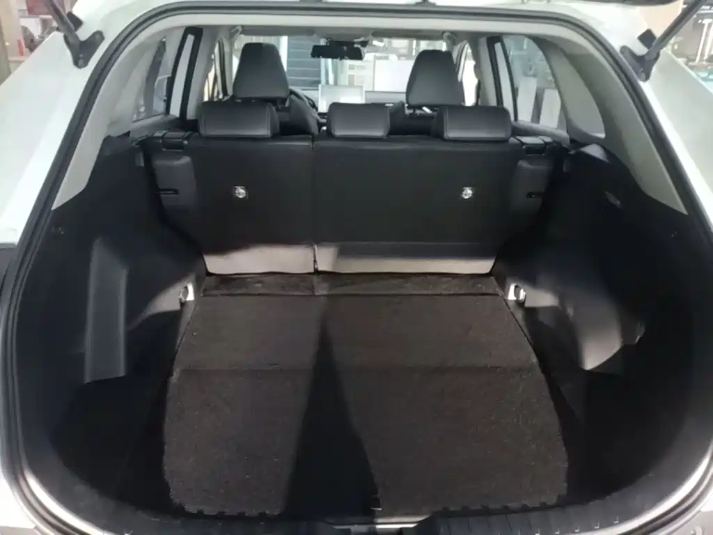 Photo 19 - Toyota Wildlander