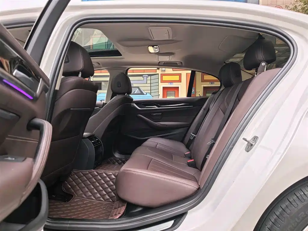 BMW 5 Series 2020 525Li Luxury Package фото 6
