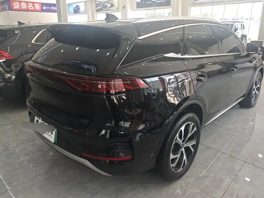 BYD Tang New Energy 2025 2025 Smart Driving Edition DM-i 115KM Honor