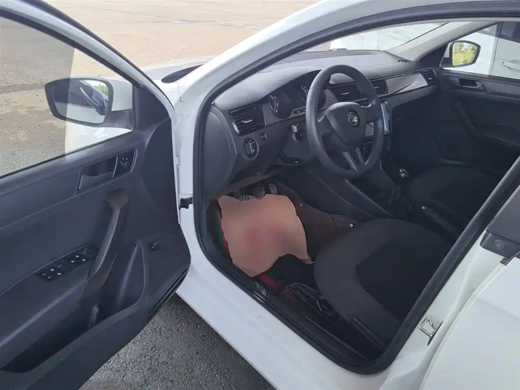 Škoda Rapid 2020 1.5L Manual Standard фото 16