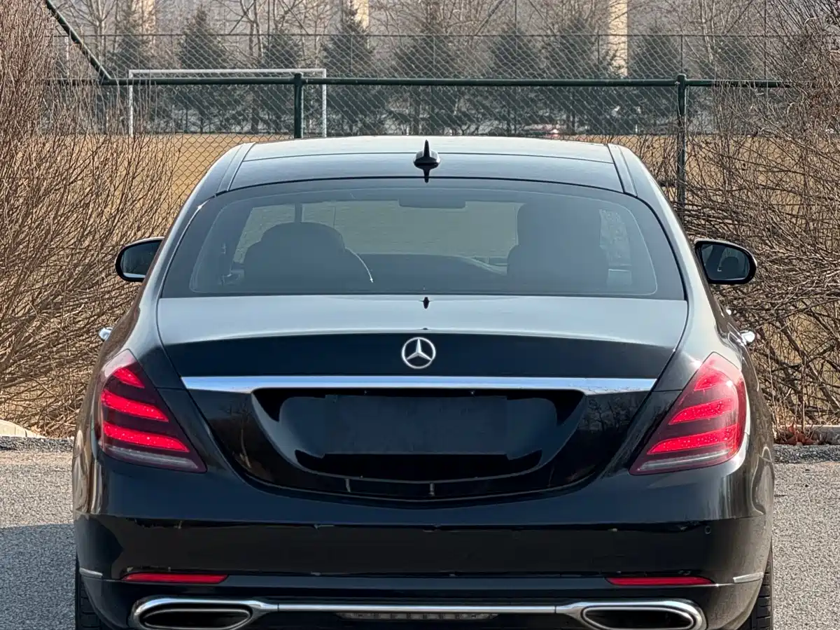 Mercedes-Benz S-Class 2018 S 450 L фото 3