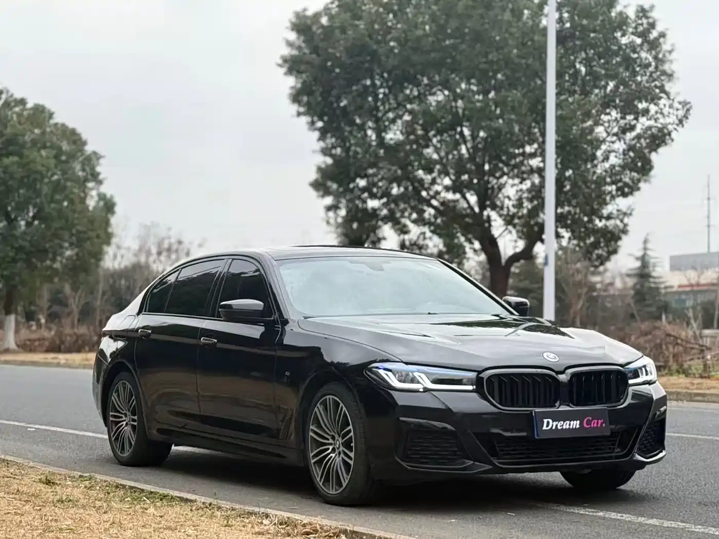 BMW 5 Series 2018 530Li xDrive M Sport Package фото 2