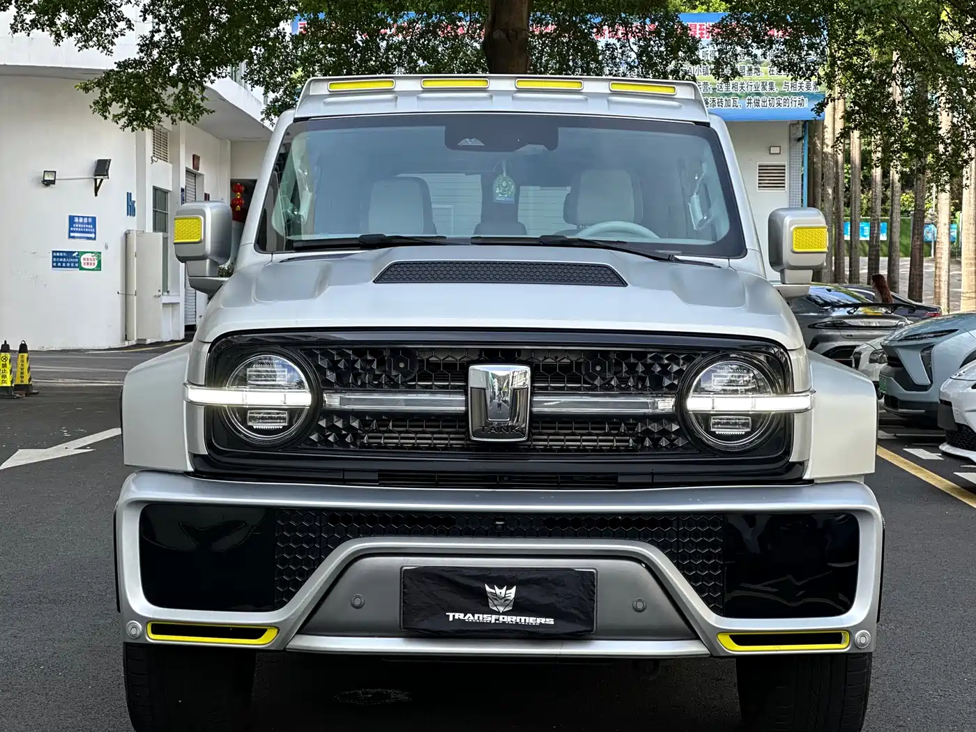 Crossboundary Auto Co-created Tank 300