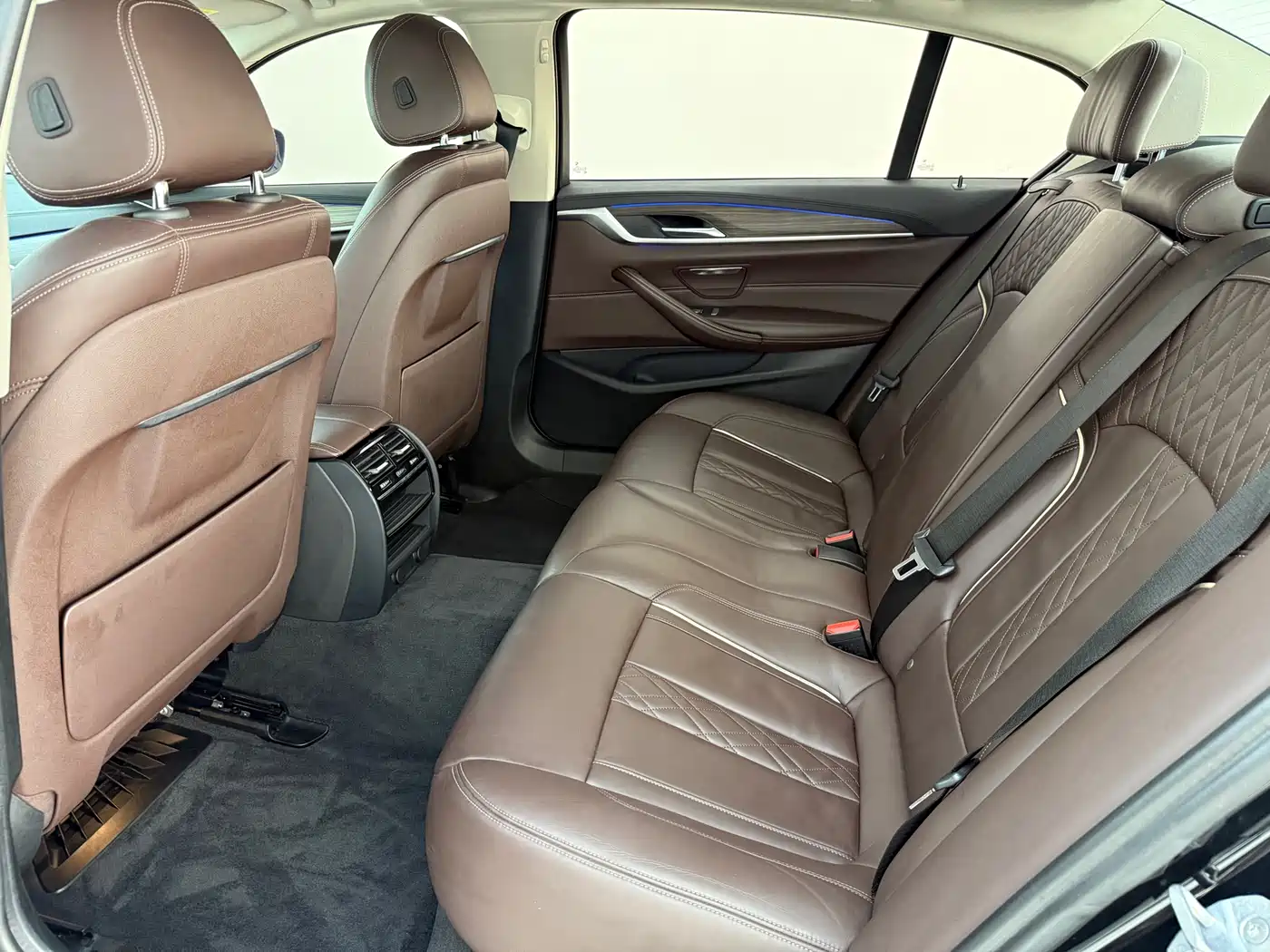 BMW 5 Series 2019 530Li Leading Luxury Package фото 8