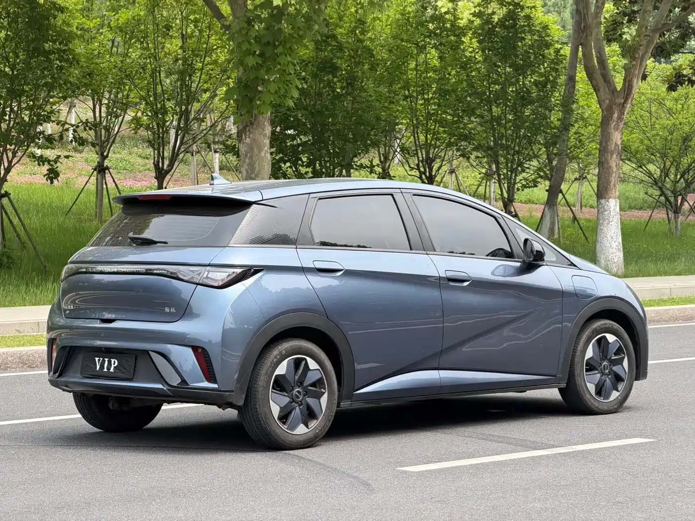 BYD Dolphin 2024 Glory Edition 420km Freedom Edition фото 4