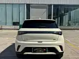 Фото 8 - BYD Dolphin