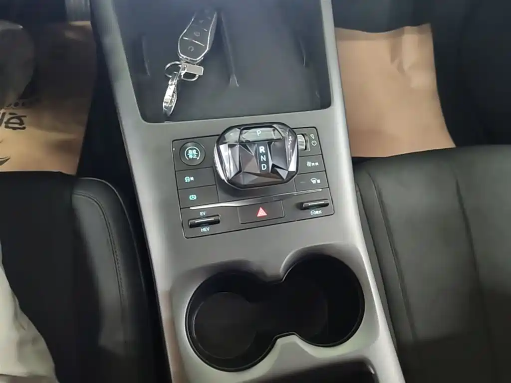 BYD Qin PLUS 2025 DM-i Smart Drive 55KM Leader фото 14