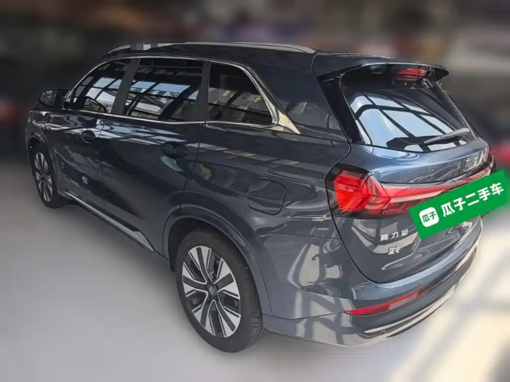 Landian E5 PLUS 2025 2025 165km Long Range 7-seater
