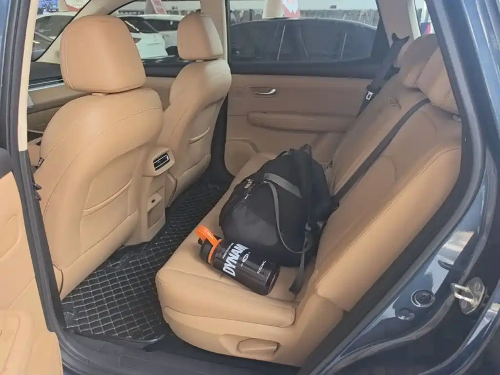 Landian E5 PLUS 2025 2025 165km Long Range 7-seater