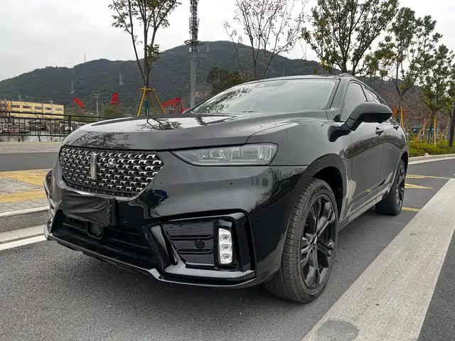 wei-pai wei-brand-vv7