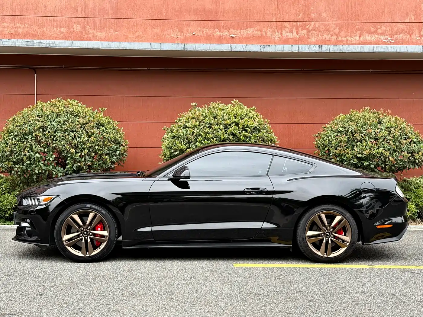 Ford Mustang 2017 2.3T Performance Edition фото 11