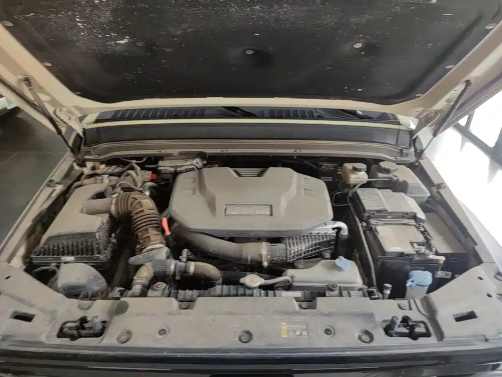 Tank 300 New Energy 2025 2025 Hi4-T