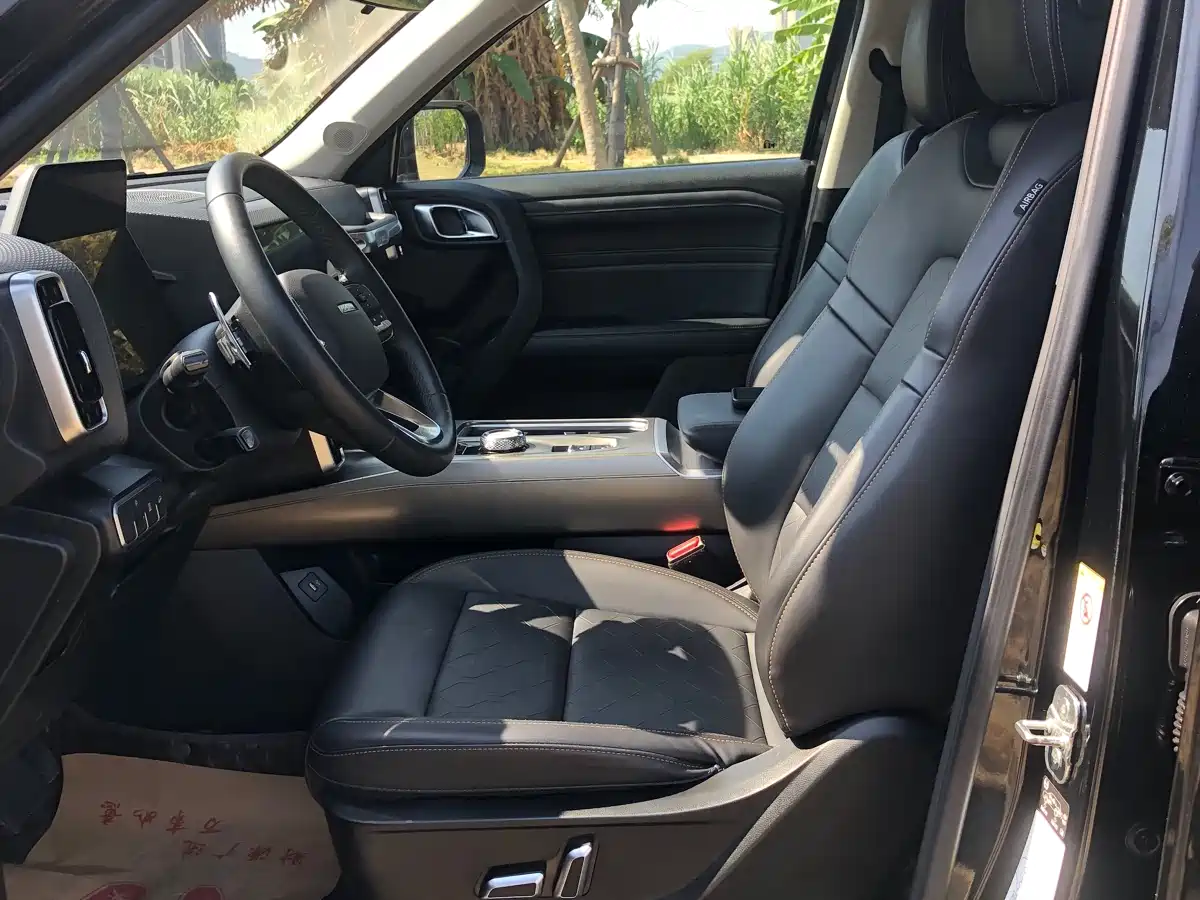 Haval Big Dog 2021 1.5T DCT 2WD Labrador Edition фото 22