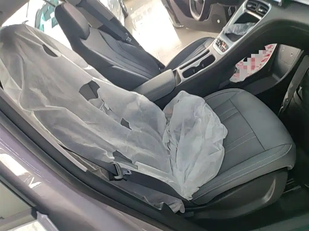 Geely Galaxy Starry Wish 2026 Edition 410km Freedom Version фото 25
