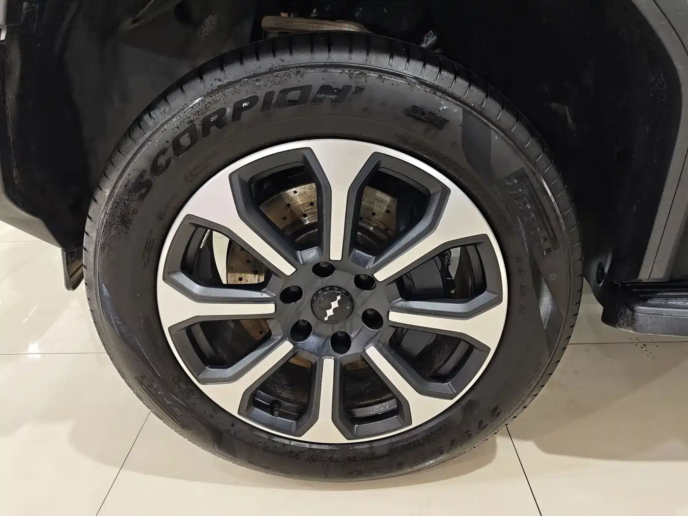 FANG CHENG BAO LEOPARD 5