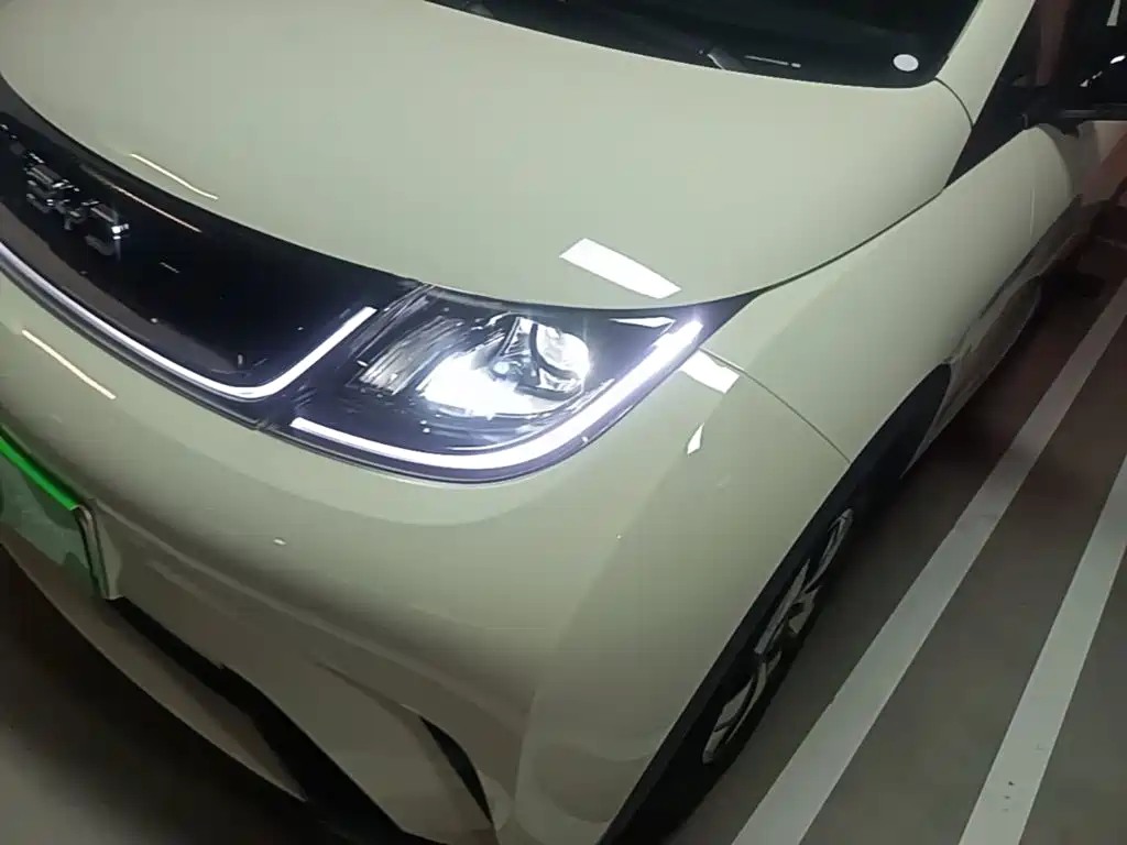 BYD Dolphin 2026 2025 420km Freedom Edition
