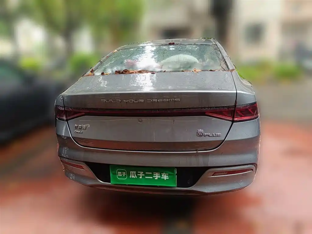 BYD Qin PLUS 2023 Champion Edition DM-i 55KM Leading фото 5