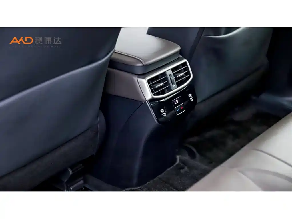Lexus RX New Energy 2023 450h+ 4WD Enjoyment фото 9