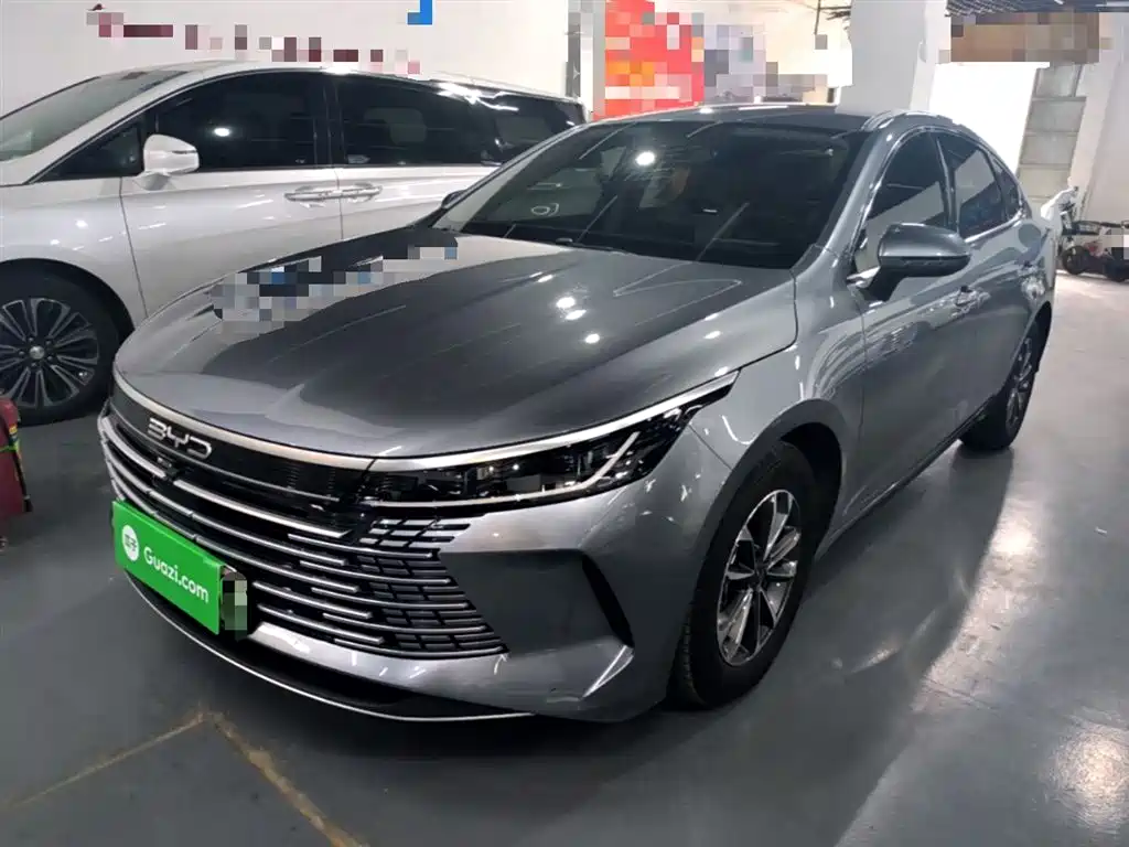 BYD Destroyer 05 2024 Glory Edition DM-i 55KM Luxury фото 2