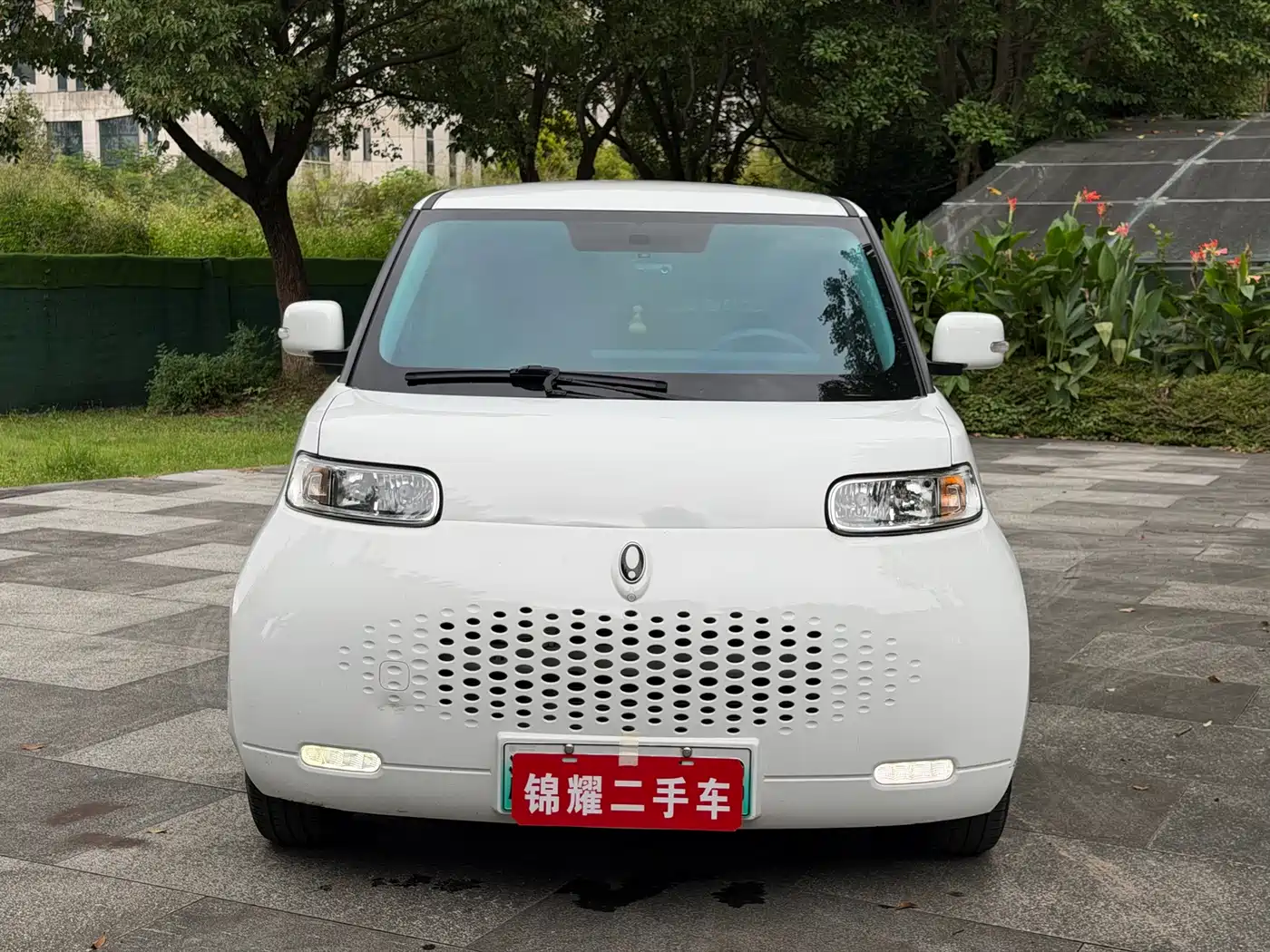 2022 Ora White Cat