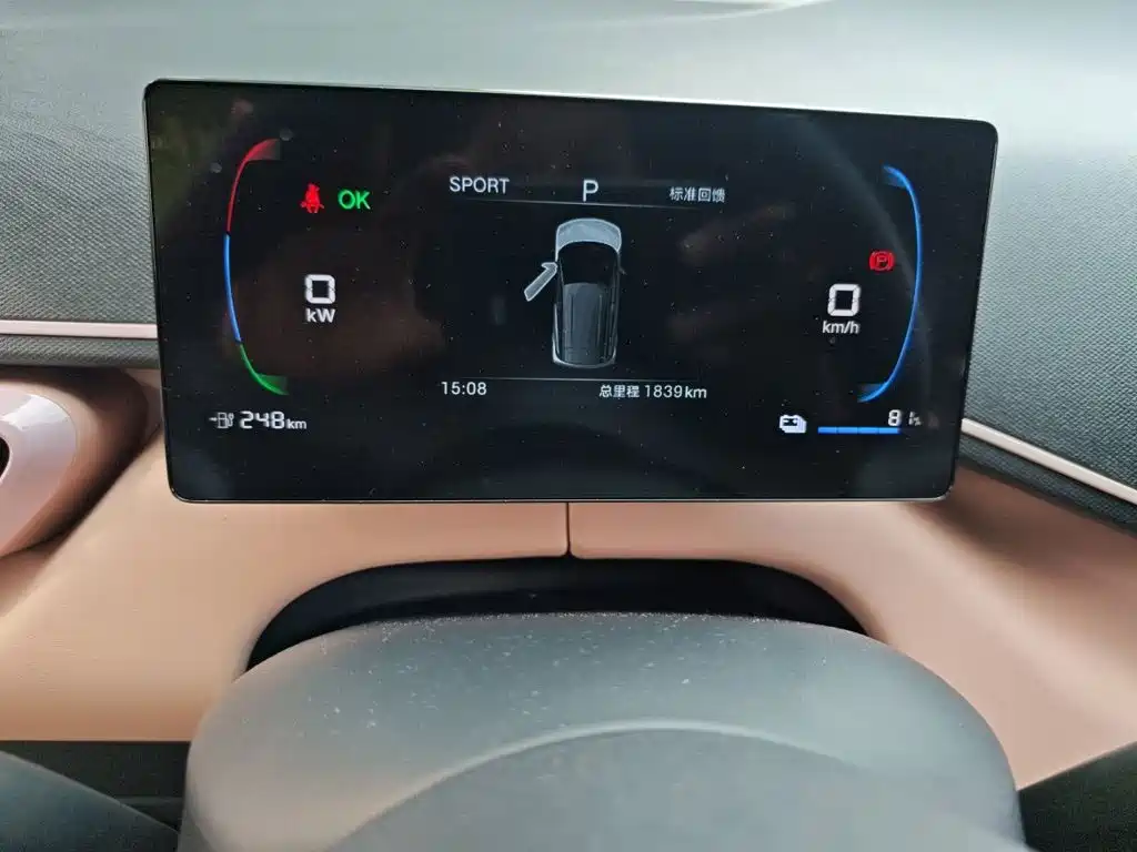 BYD Seagull 2026 2025 Smart Drive Edition 305km Vitality Version