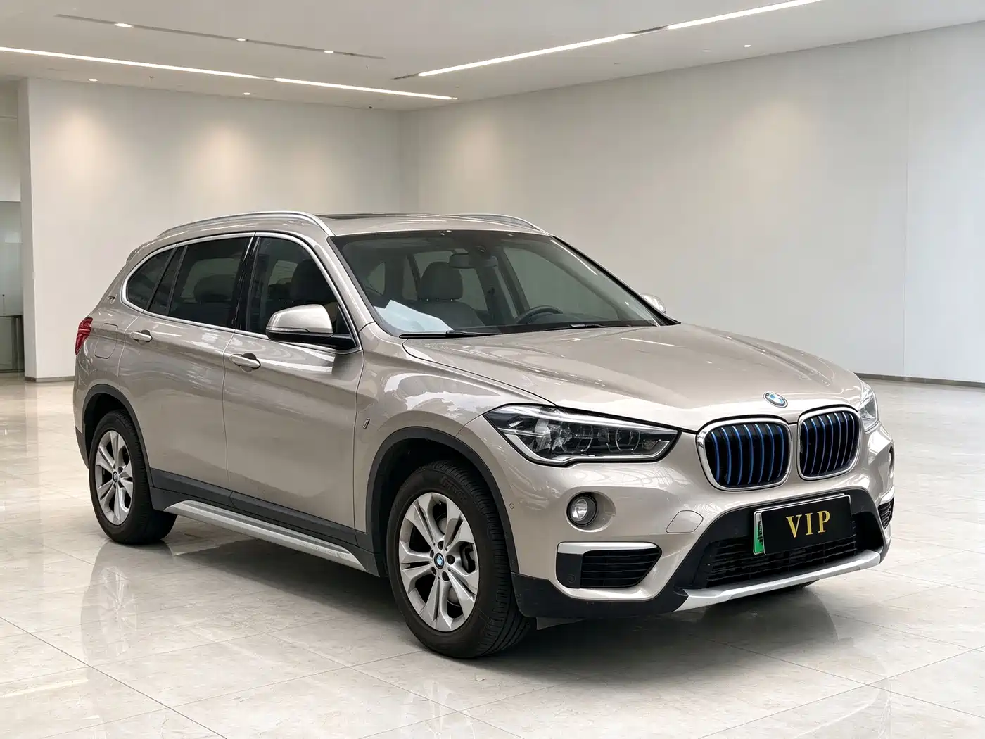 BMW X1 New Energy 2019 2019 xDrive25Le Range Upgrade Edition